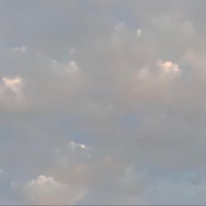 Meet your Posher, Priscilla